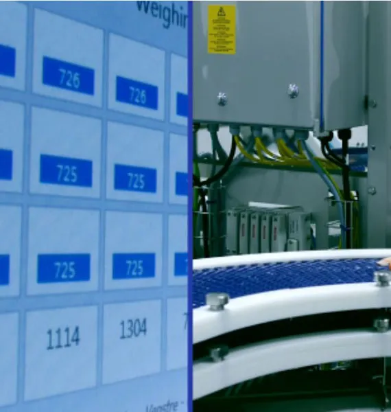 Secondary Processing Equipment