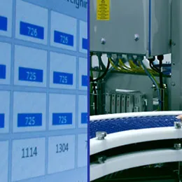 Secondary Processing Equipment