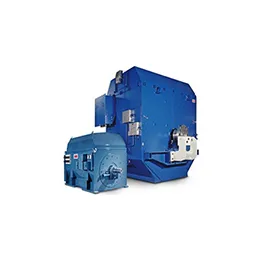 Large AC Motors