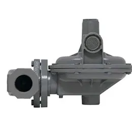 P302 Relieving Gas Pressure Regulator