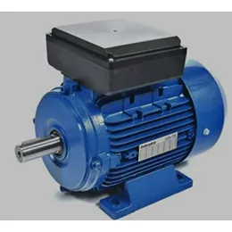 Electric Motors