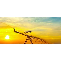Irrigation & Agriculture