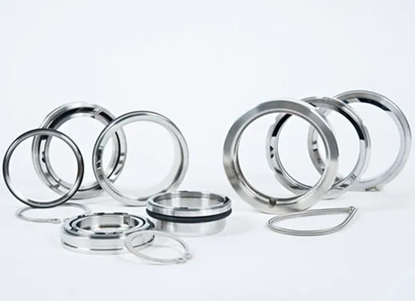 Berliss Submersible Pump Replacement Seals
