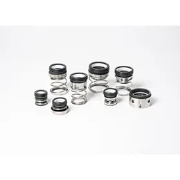 Mechanical Seals