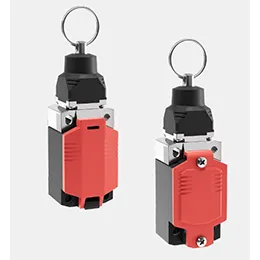 Standard Rope Pull switches