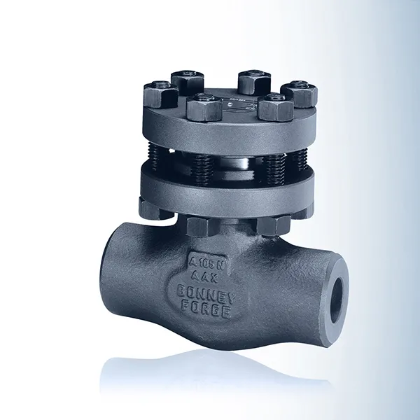 Swing Check Valves