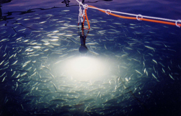 Underwater Lighting