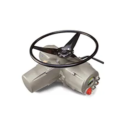 ICON3000 Electric Actuators