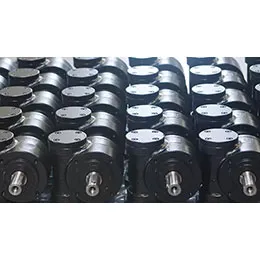 Worm gear
