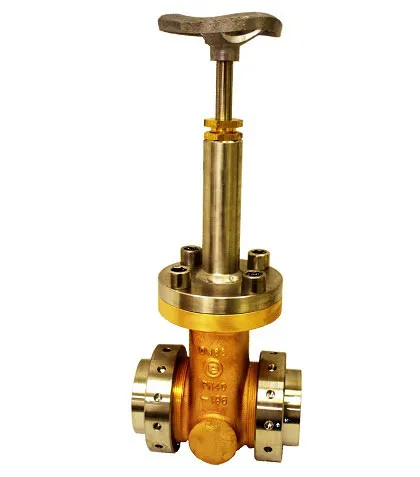 Cryogenic Gate Valves