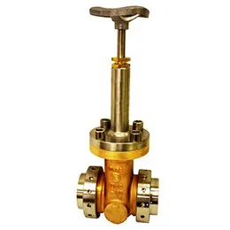 cryogenic gate valves
