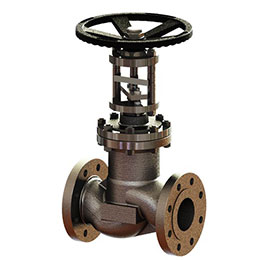 stainless steel globe stop and check valves
