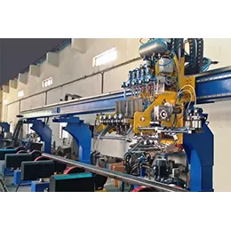 ERW Body Inspection System