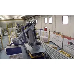 Robotized bin picking plant-PolyMOVE