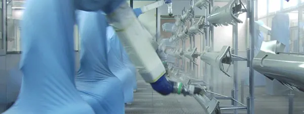 Painting systems for plastic parts