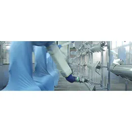 Painting systems for plastic parts