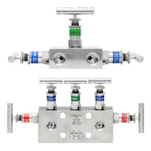 Instumentation Manifold Valve