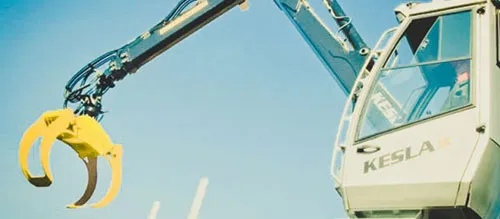 Cranes