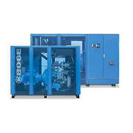 Oil-free screw compressors