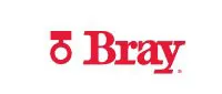 Bray International