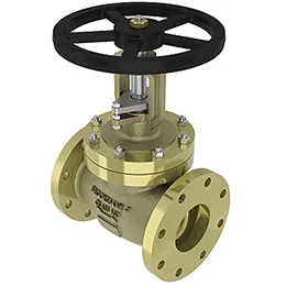 Globe Valve