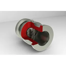 Dual Plate Check Valves