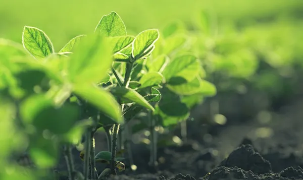 Drive solutions for agriculture