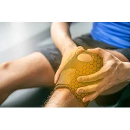 Flexible Printed Heaters