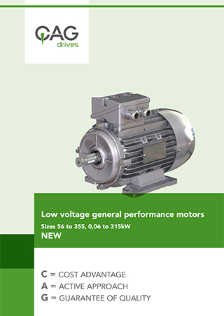 General performance motor  Low voltage