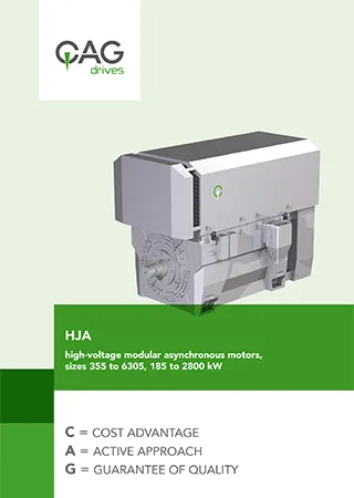 Modular asynchronous motor  High voltage