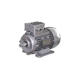 General performance motor  Low voltage