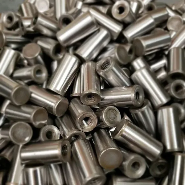 PINS