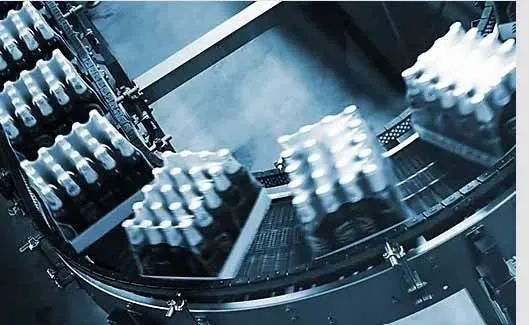 Packaged Goods Conveyor