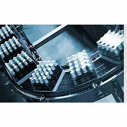 Packaged Goods Conveyor