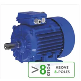 Motors ABOVE 8-POLES