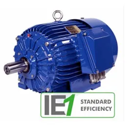 Motors IE1