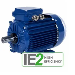 Motors IE2