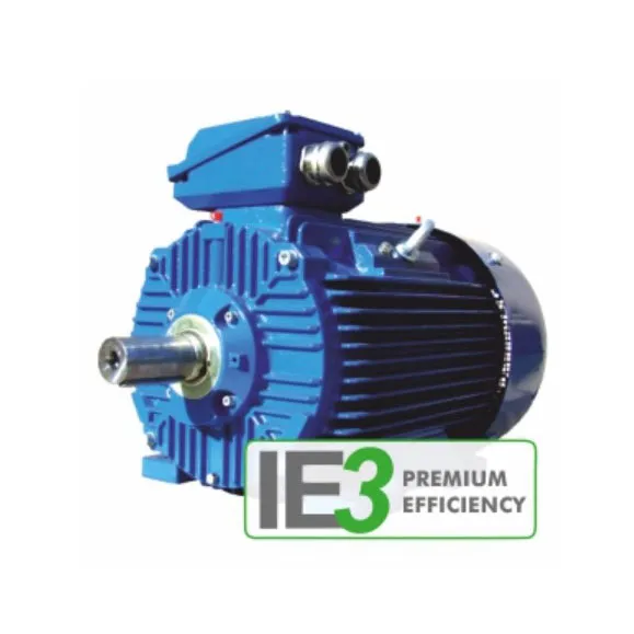 Motors IE3