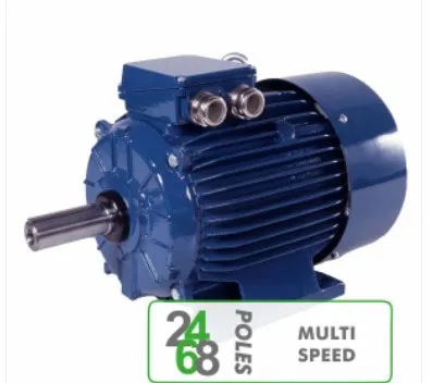 Motors MULTI SPEED