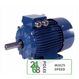 Motors MULTI SPEED
