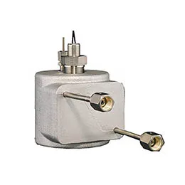 Carrier and Process Gas Delivery Heaters