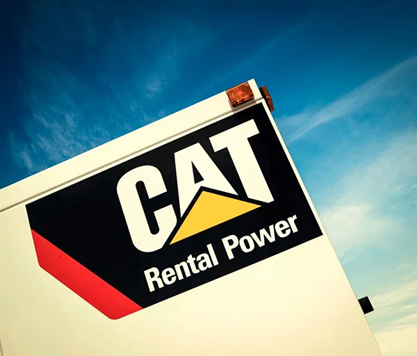 Cat Rental Store