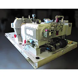 RECIPROCATING PUMPS