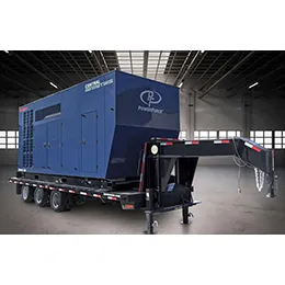 NGEN565 NATURAL GAS GENERATOR