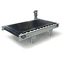 4208 Bag Transfer Conveyor