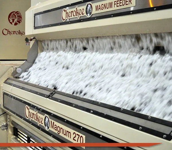 GINNING SYSTEMS