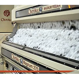 GINNING SYSTEMS