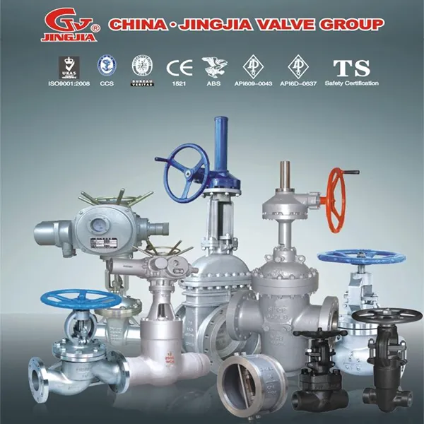 Gate Globe Check Valve