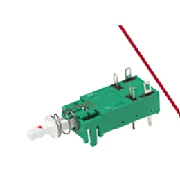 PUSHBUTTON SWITCHES