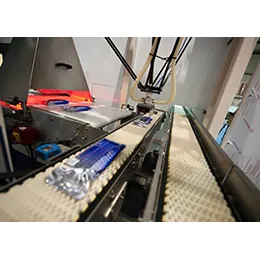 Pick & Place Robots